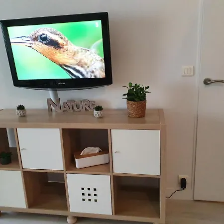 Magnifique Avec Garage Prive Et Terrasse *