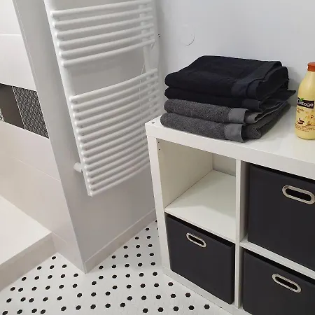 Magnifique Avec Garage Prive Et Terrasse Apartament *